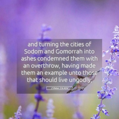 Picture 05 - 2 Peter 2:6 ASV - and turning the cities of Sodom and Gomorrah into - Bible Verse Picture