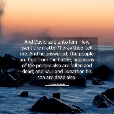 Picture 05 - 2 Samuel 1:4 ASV - And David said unto him, How went the matter? I - Bible Verse Picture