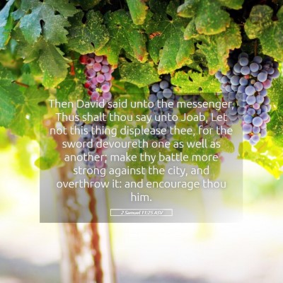 Picture 05 - 2 Samuel 11:25 ASV - Then David said unto the messenger, Thus shalt - Bible Verse Picture
