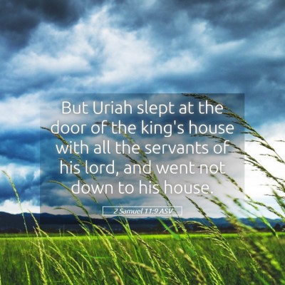 Picture 05 - 2 Samuel 11:9 ASV - But Uriah slept at the door of the king's house - Bible Verse Picture
