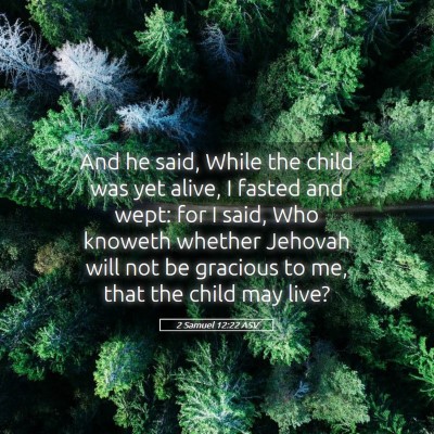Picture 05 - 2 Samuel 12:22 ASV - And he said, While the child was yet alive, I - Bible Verse Picture