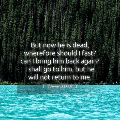 Picture 05 - 2 Samuel 12:23 ASV - But now he is dead, wherefore should I fast? can - Bible Verse Picture