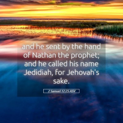 Picture 05 - 2 Samuel 12:25 ASV - and he sent by the hand of Nathan the prophet; - Bible Verse Picture