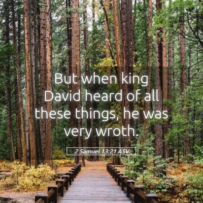 Picture 05 - 2 Samuel 13:21 ASV - But when king David heard of all these things, he - Bible Verse Picture