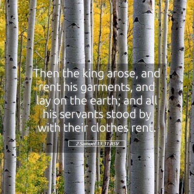 Picture 05 - 2 Samuel 13:31 ASV - Then the king arose, and rent his garments, and - Bible Verse Picture