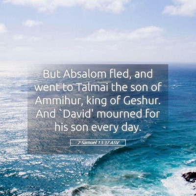 Picture 05 - 2 Samuel 13:37 ASV - But Absalom fled, and went to Talmai the son of - Bible Verse Picture