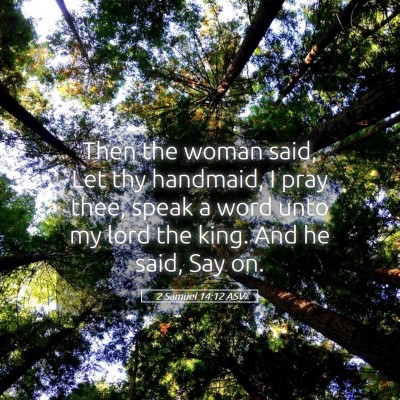 Picture 05 - 2 Samuel 14:12 ASV - Then the woman said, Let thy handmaid, I pray - Bible Verse Picture