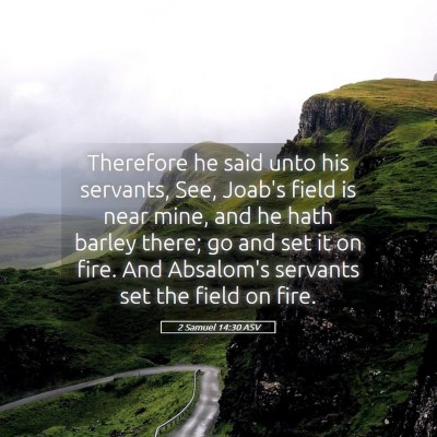 Picture 05 - 2 Samuel 14:30 ASV - Therefore he said unto his servants, See, Joab's - Bible Verse Picture