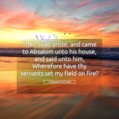 Picture 05 - 2 Samuel 14:31 ASV - Then Joab arose, and came to Absalom unto his - Bible Verse Picture