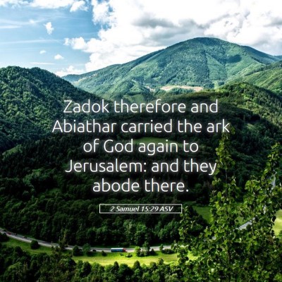 Picture 05 - 2 Samuel 15:29 ASV - Zadok therefore and Abiathar carried the ark of - Bible Verse Picture