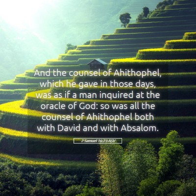 Picture 05 - 2 Samuel 16:23 ASV - And the counsel of Ahithophel, which he gave in - Bible Verse Picture