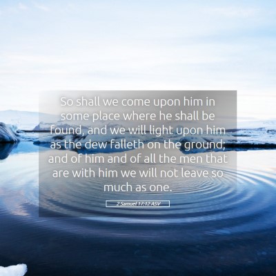 Picture 05 - 2 Samuel 17:12 ASV - So shall we come upon him in some place where he - Bible Verse Picture