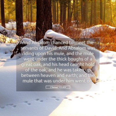 Picture 05 - 2 Samuel 18:9 ASV - And Absalom chanced to meet the servants of - Bible Verse Picture
