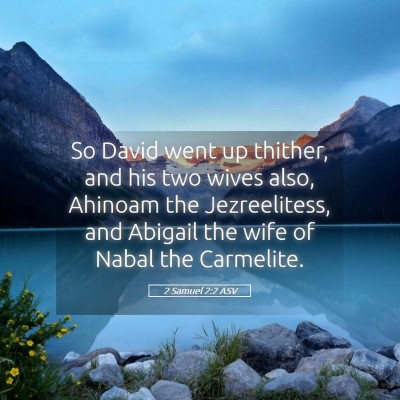 Picture 05 - 2 Samuel 2:2 ASV - So David went up thither, and his two wives also, - Bible Verse Picture