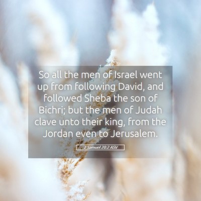 Picture 05 - 2 Samuel 20:2 ASV - So all the men of Israel went up from following - Bible Verse Picture