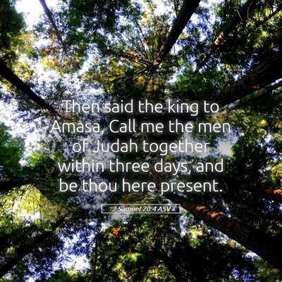 Picture 05 - 2 Samuel 20:4 ASV - Then said the king to Amasa, Call me the men of - Bible Verse Picture