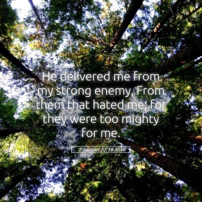 Picture 05 - 2 Samuel 22:18 ASV - He delivered me from my strong enemy, From them - Bible Verse Picture