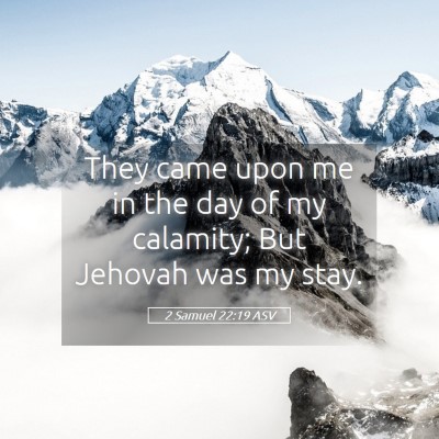 Picture 05 - 2 Samuel 22:19 ASV - They came upon me in the day of my calamity; But - Bible Verse Picture