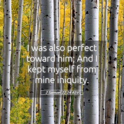 Picture 05 - 2 Samuel 22:24 ASV - I was also perfect toward him; And I kept myself - Bible Verse Picture