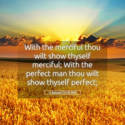Picture 05 - 2 Samuel 22:26 ASV - With the merciful thou wilt show thyself - Bible Verse Picture