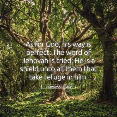 Picture 05 - 2 Samuel 22:31 ASV - As for God, his way is perfect: The word of - Bible Verse Picture