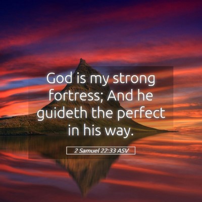 Picture 05 - 2 Samuel 22:33 ASV - God is my strong fortress; And he guideth the - Bible Verse Picture