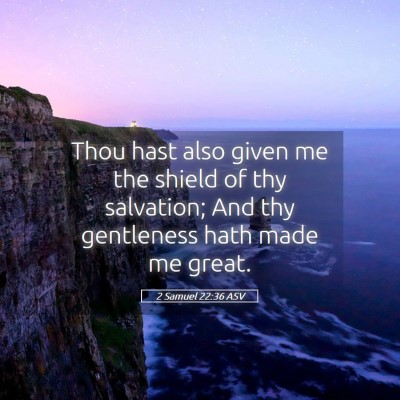 Picture 05 - 2 Samuel 22:36 ASV - Thou hast also given me the shield of thy - Bible Verse Picture