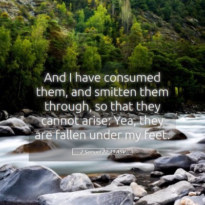 Picture 05 - 2 Samuel 22:39 ASV - And I have consumed them, and smitten them - Bible Verse Picture