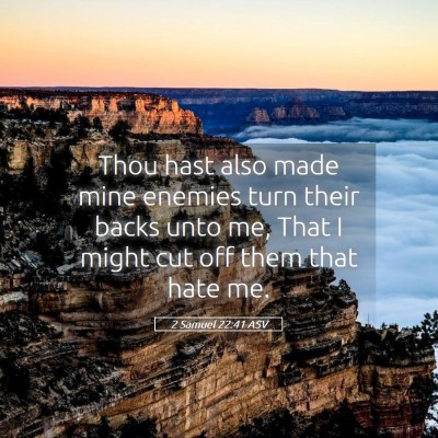Picture 05 - 2 Samuel 22:41 ASV - Thou hast also made mine enemies turn their backs - Bible Verse Picture