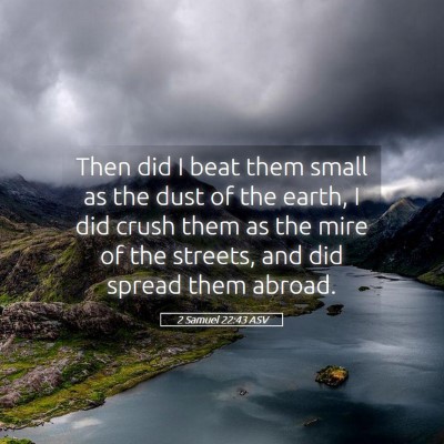 Picture 05 - 2 Samuel 22:43 ASV - Then did I beat them small as the dust of the - Bible Verse Picture