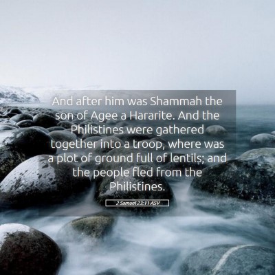 Picture 05 - 2 Samuel 23:11 ASV - And after him was Shammah the son of Agee a - Bible Verse Picture