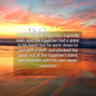 Picture 05 - 2 Samuel 23:21 ASV - And he slew an Egyptian, a goodly man: and the - Bible Verse Picture
