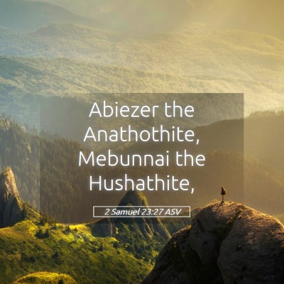 Picture 05 - 2 Samuel 23:27 ASV - Abiezer the Anathothite, Mebunnai the - Bible Verse Picture