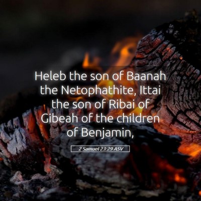 Picture 05 - 2 Samuel 23:29 ASV - Heleb the son of Baanah the Netophathite, Ittai - Bible Verse Picture