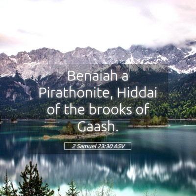 Picture 05 - 2 Samuel 23:30 ASV - Benaiah a Pirathonite, Hiddai of the brooks of - Bible Verse Picture