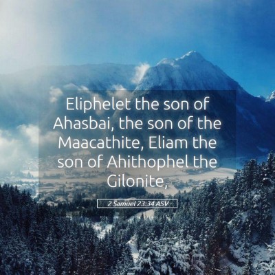 Picture 05 - 2 Samuel 23:34 ASV - Eliphelet the son of Ahasbai, the son of the - Bible Verse Picture