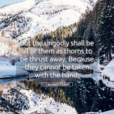 Picture 05 - 2 Samuel 23:6 ASV - But the ungodly shall be all of them as thorns to - Bible Verse Picture