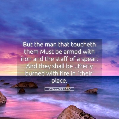 Picture 05 - 2 Samuel 23:7 ASV - But the man that toucheth them Must be armed with - Bible Verse Picture