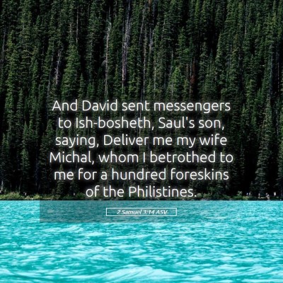 Picture 05 - 2 Samuel 3:14 ASV - And David sent messengers to Ish-bosheth, Saul's - Bible Verse Picture