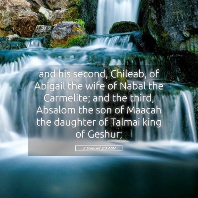 Picture 05 - 2 Samuel 3:3 ASV - and his second, Chileab, of Abigail the wife of - Bible Verse Picture
