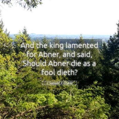 Picture 05 - 2 Samuel 3:33 ASV - And the king lamented for Abner, and said, Should - Bible Verse Picture