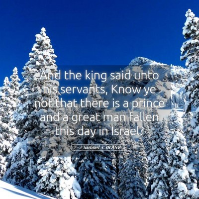 Picture 05 - 2 Samuel 3:38 ASV - And the king said unto his servants, Know ye not - Bible Verse Picture