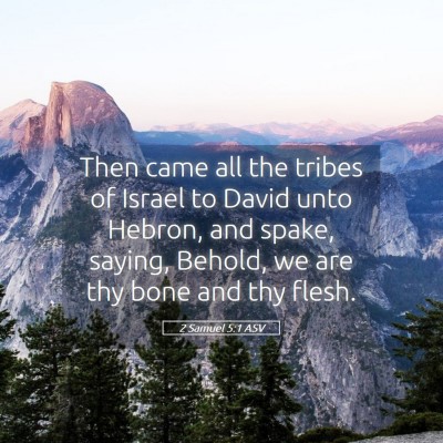 Picture 05 - 2 Samuel 5:1 ASV - Then came all the tribes of Israel to David unto - Bible Verse Picture