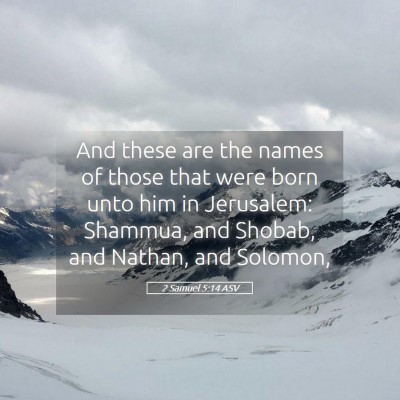 Picture 05 - 2 Samuel 5:14 ASV - And these are the names of those that were born - Bible Verse Picture