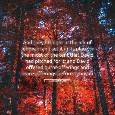 Picture 05 - 2 Samuel 6:17 ASV - And they brought in the ark of Jehovah, and set - Bible Verse Picture