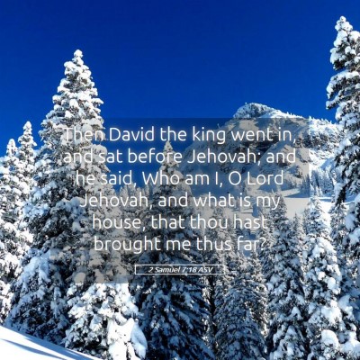 Picture 05 - 2 Samuel 7:18 ASV - Then David the king went in, and sat before - Bible Verse Picture