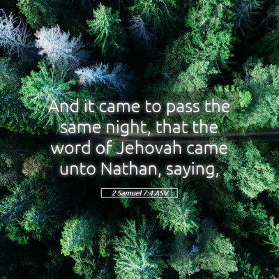 Picture 05 - 2 Samuel 7:4 ASV - And it came to pass the same night, that the word - Bible Verse Picture