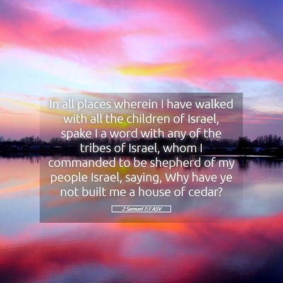 Picture 05 - 2 Samuel 7:7 ASV - In all places wherein I have walked with all the - Bible Verse Picture