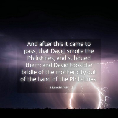 Picture 05 - 2 Samuel 8:1 ASV - And after this it came to pass, that David smote - Bible Verse Picture