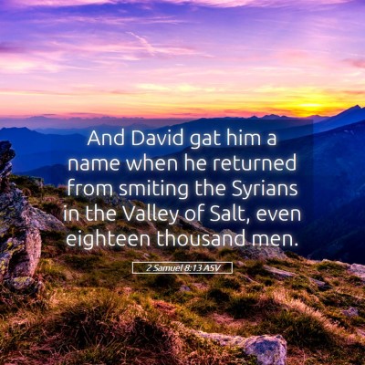 Picture 05 - 2 Samuel 8:13 ASV - And David gat him a name when he returned from - Bible Verse Picture